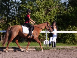 IMG_7266_web